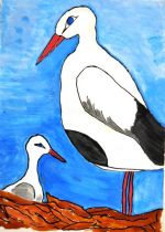 Michalides Martin.jpg